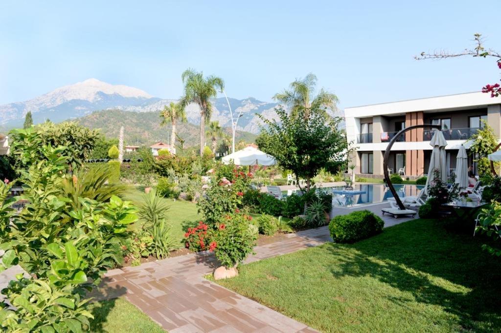 Mandalina Apartments Ağva Eksteriør bilde