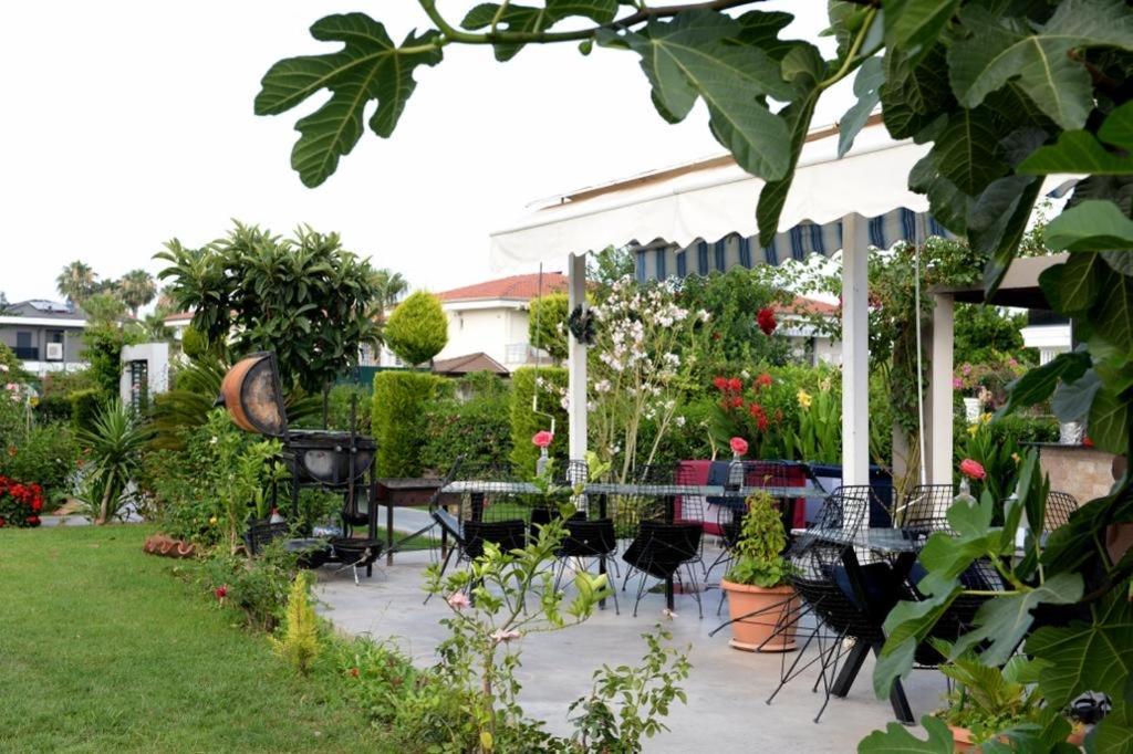 Mandalina Apartments Ağva Eksteriør bilde